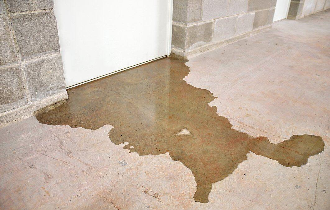 A Brief Guide to the Causes of Damp