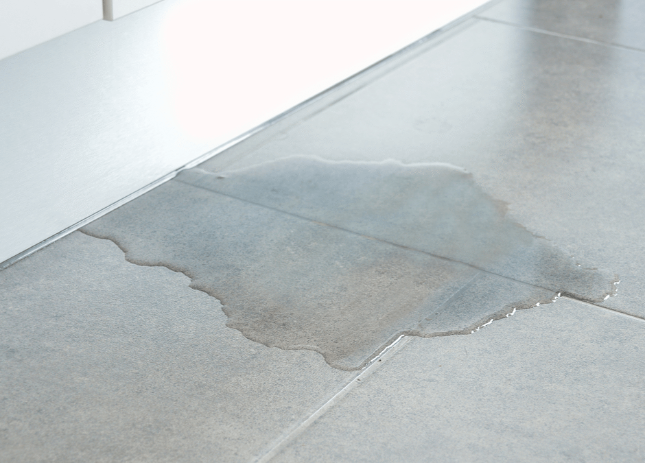 Why is Commercial Leak Detection Important?