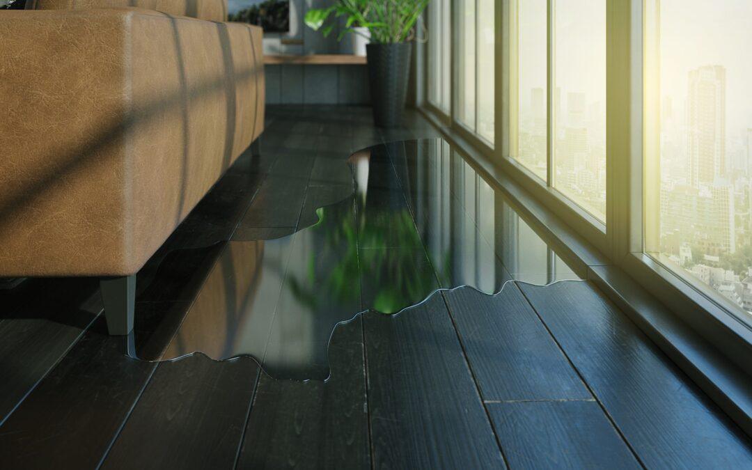 What is Water Damage?