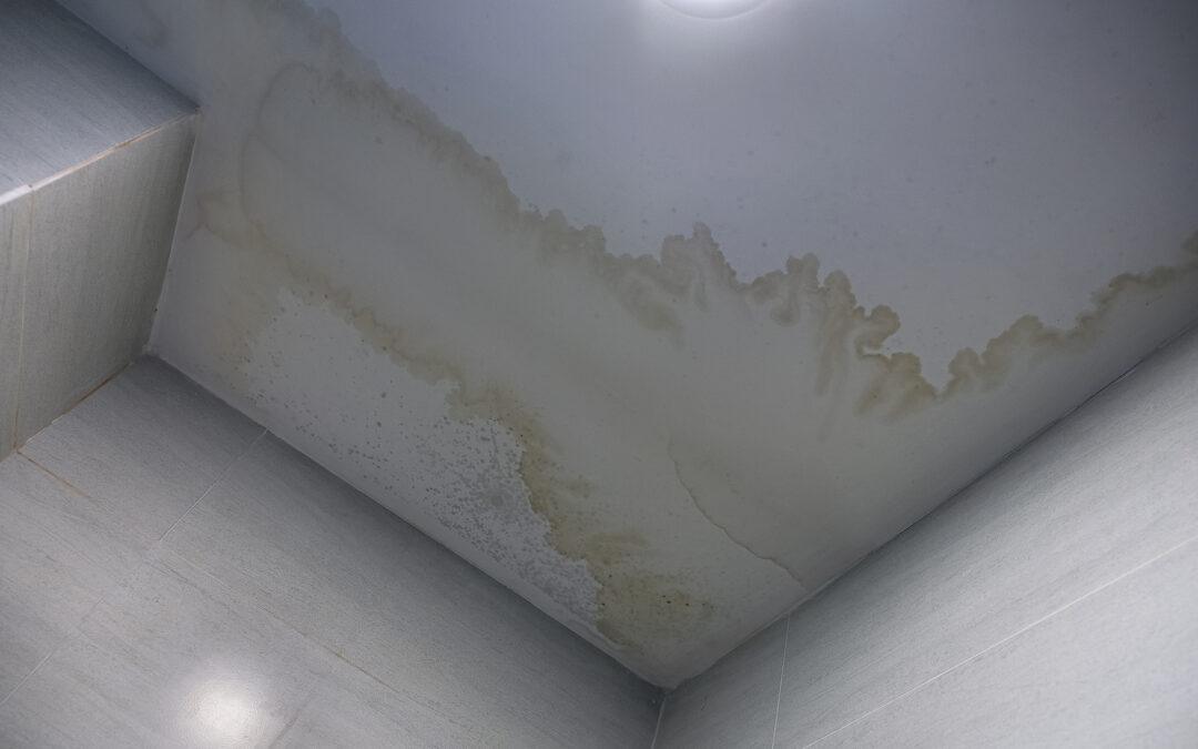 How to Detect a Leak in a Wall